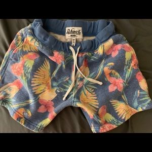 Chubbies sweatshirt material shorts